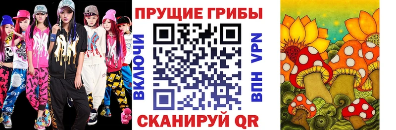 Купить закладки  Приволжский  Галлюциногенные грибы MAGIC MUSHROOMS 